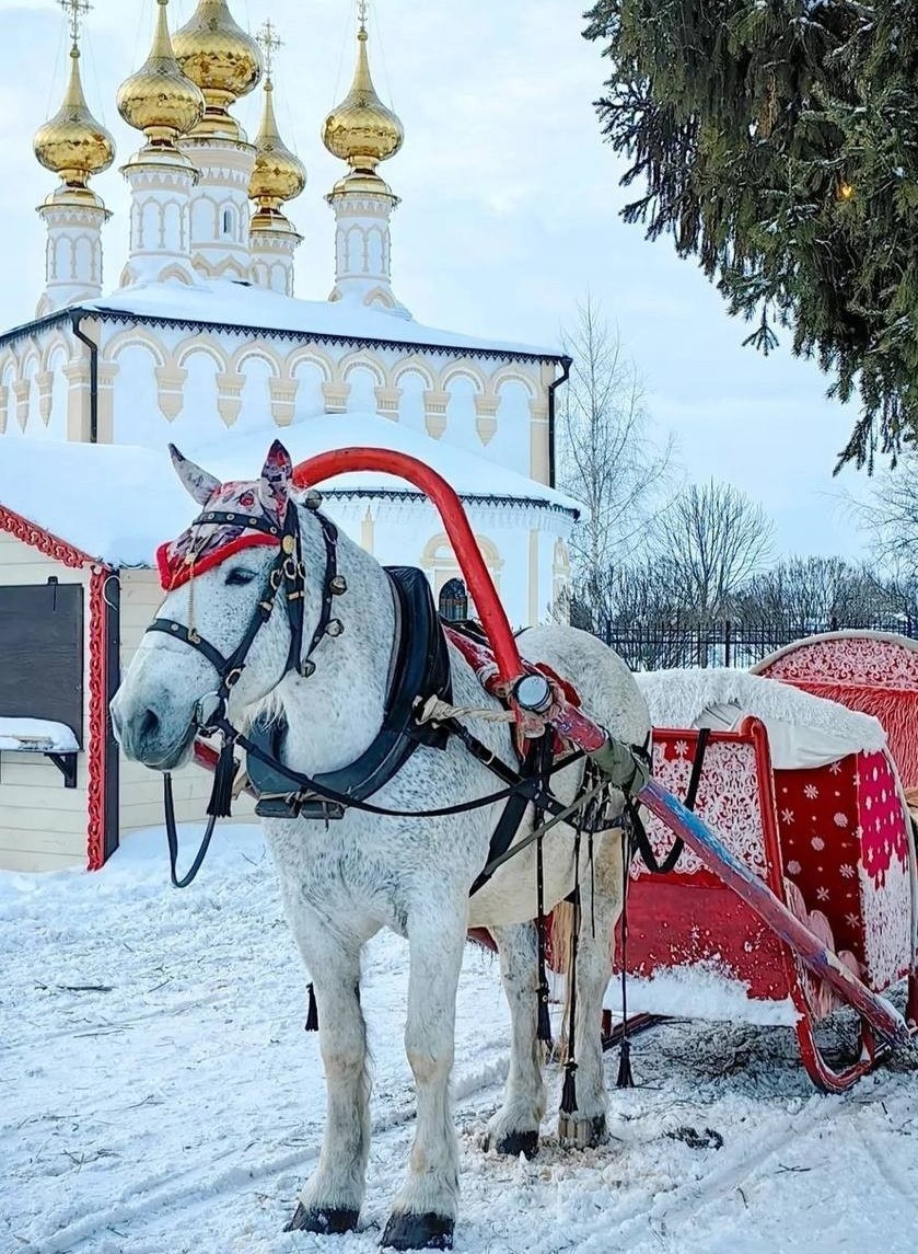 Конные прогулки в санях или экипаже